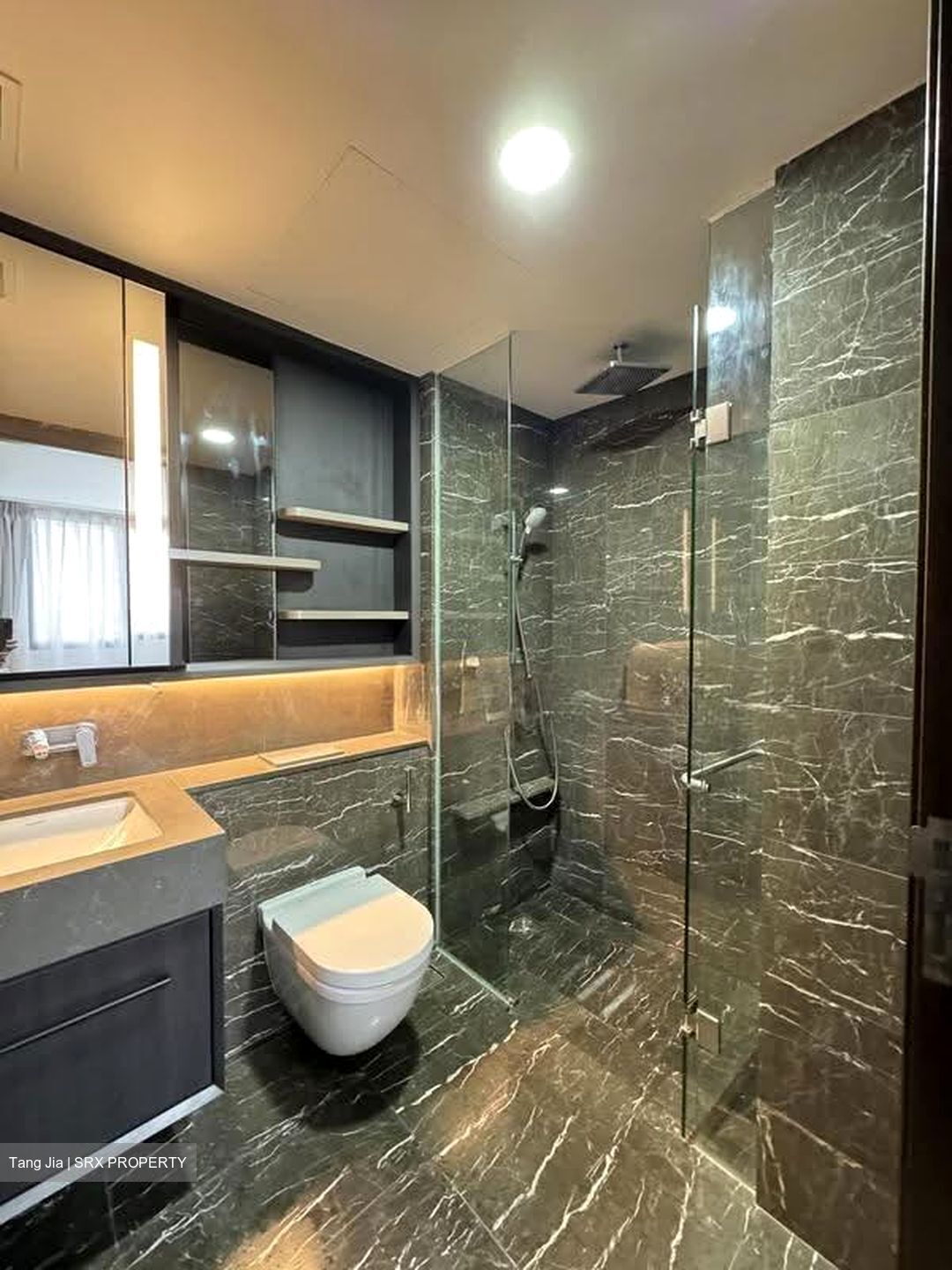 Neu At Novena (D11), Apartment #613588431